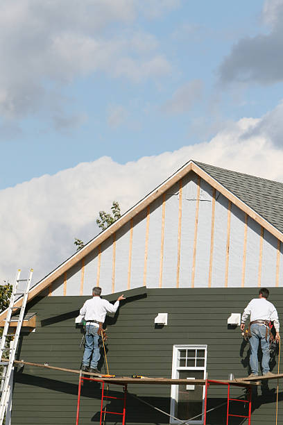 Best Vinyl Siding Installation  in Waynesboro, MS